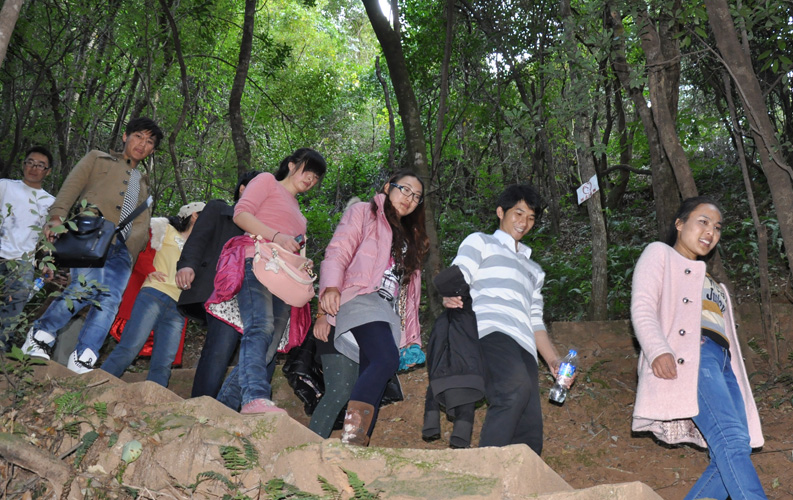 青龙峡位于昆明西郊安宁市青龙镇滇中生态大峡谷中，景区有保存较为完好的植物群落，遮天蔽日的参天古木；有浪漫山花，野果飘香，还有清秀宁静的田园风光。河谷沿岸古柳成荫，几十里的云南樱花大道成为昆明郊游靓丽的风景线。景区中溪水潺潺，千姿百态、千奇百怪的蔓藤风光随处可见，号称“都市身旁的小九寨。